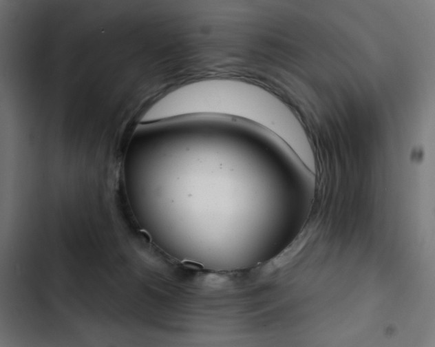 X0000103260180200809051452