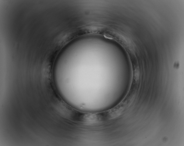 X0000103260181200809051452