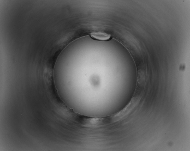 X0000103260184200809051452