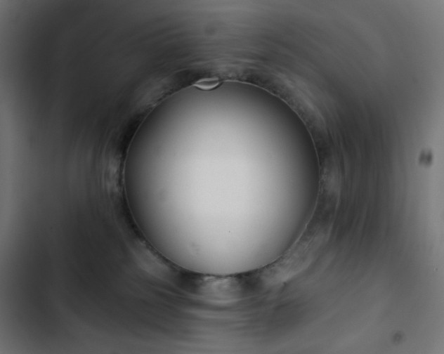 X0000103260185200809051452