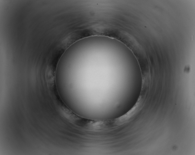 X0000103260186200809051452