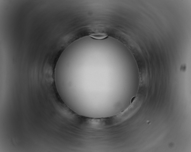 X0000103260187200809051452