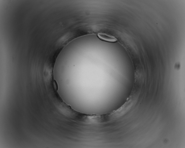 X0000103260188200809051452