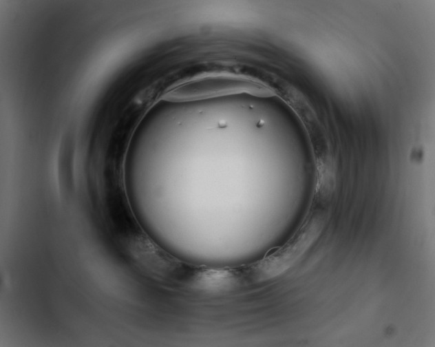 X0000103260189200809051452