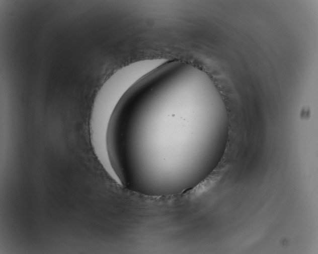 X0000103260192200809051452