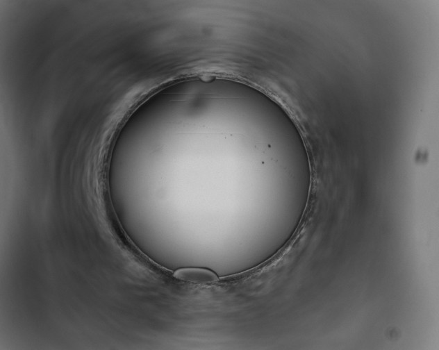 X0000103260193200809051451