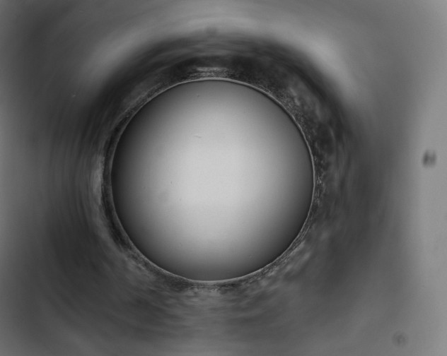 X0000103260194200809051451