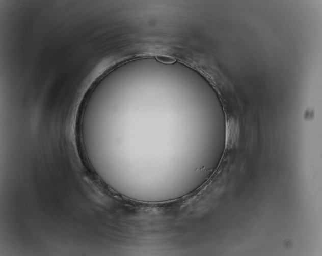 X0000103260195200809051451