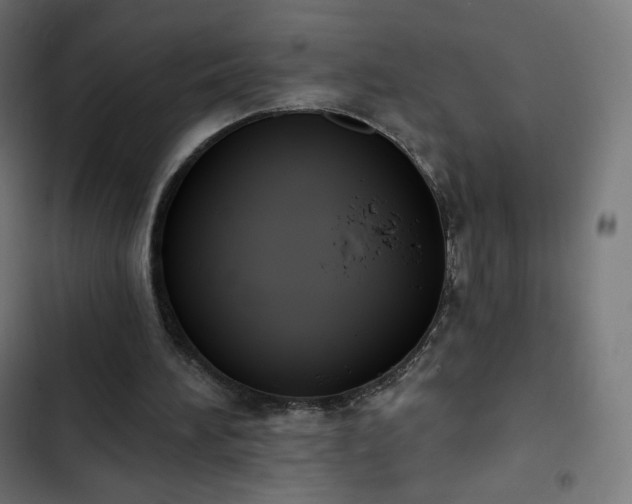 X0000103260196200809051451