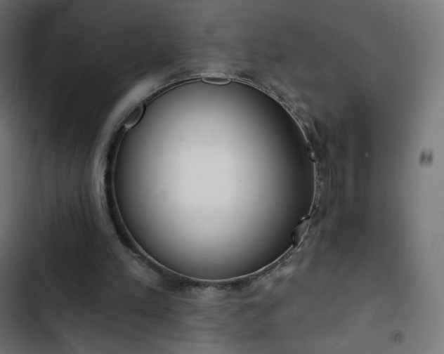 X0000103260197200809051451