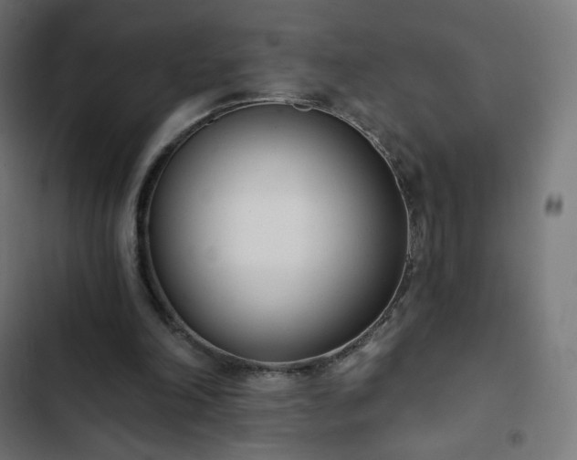 X0000103260198200809051451