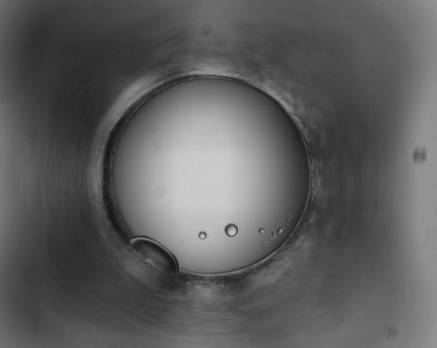 X0000103260199200809051451