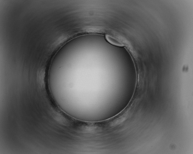 X0000103260201200809051451