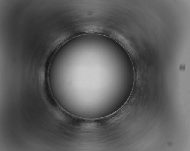 X0000103260202200809051451