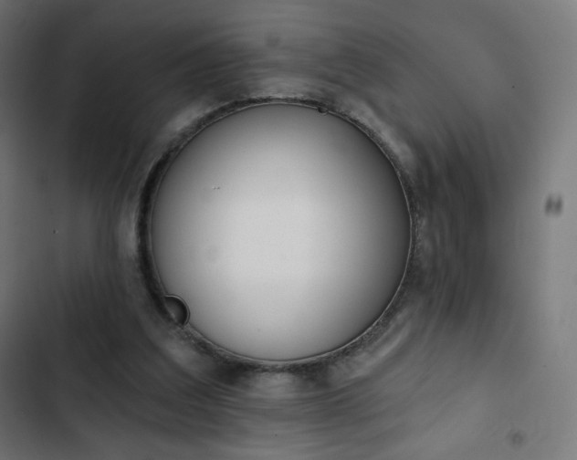 X0000103260203200809051451