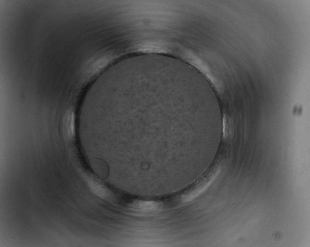 X0000103260205200809051451