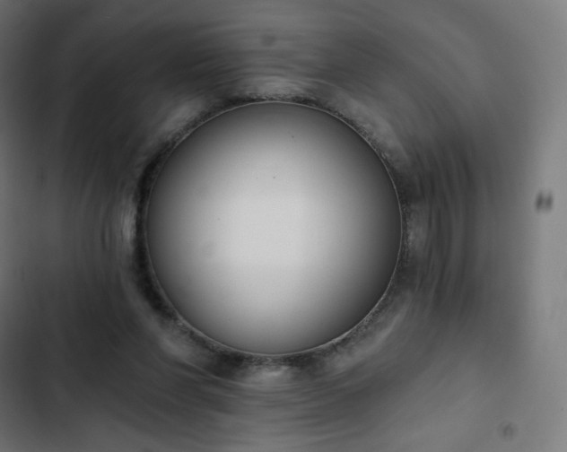 X0000103260206200809051451