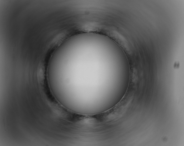 X0000103260210200809051451