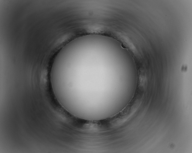 X0000103260211200809051451