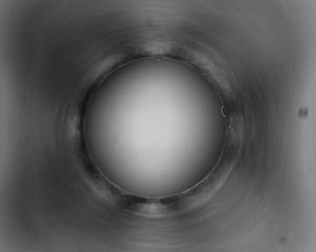 X0000103260212200809051451