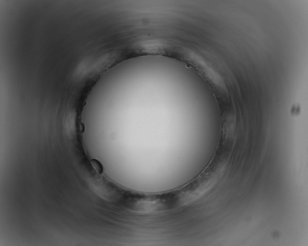 X0000103260213200809051451