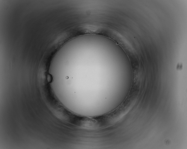 X0000103260215200809051451