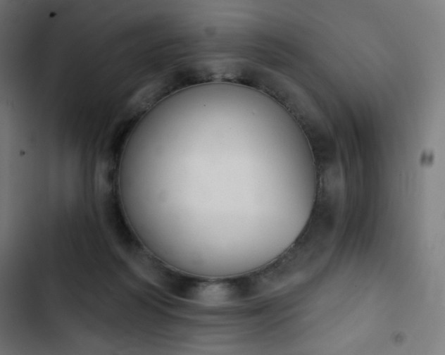 X0000103260218200809051451