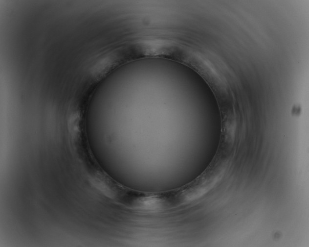 X0000103260219200809051451