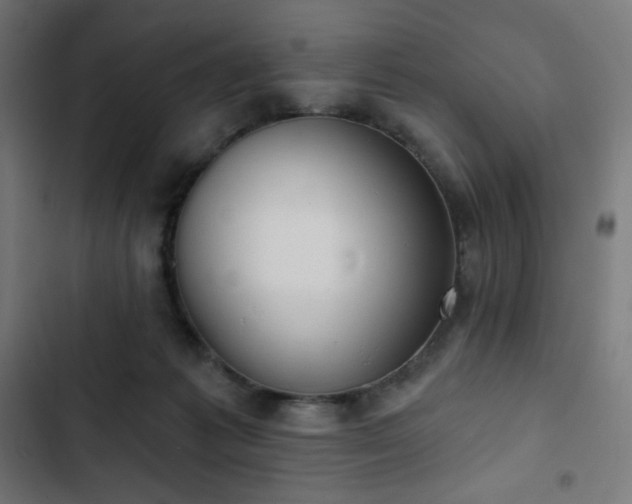 X0000103260221200809051451