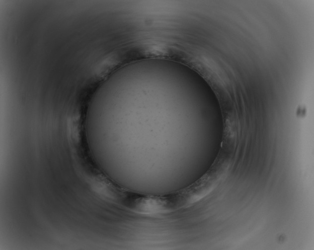 X0000103260223200809051451