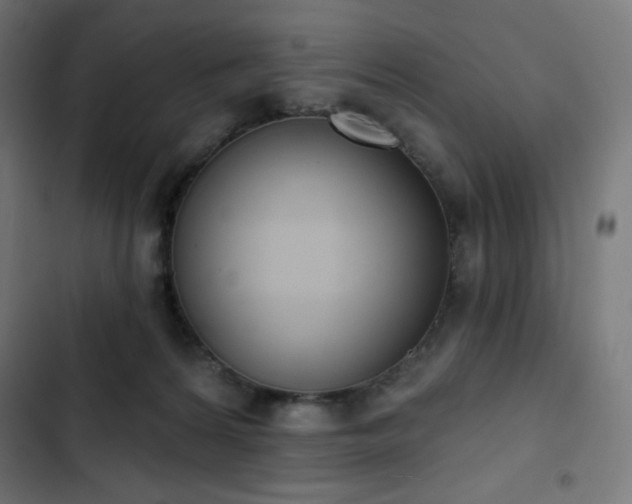 X0000103260224200809051451