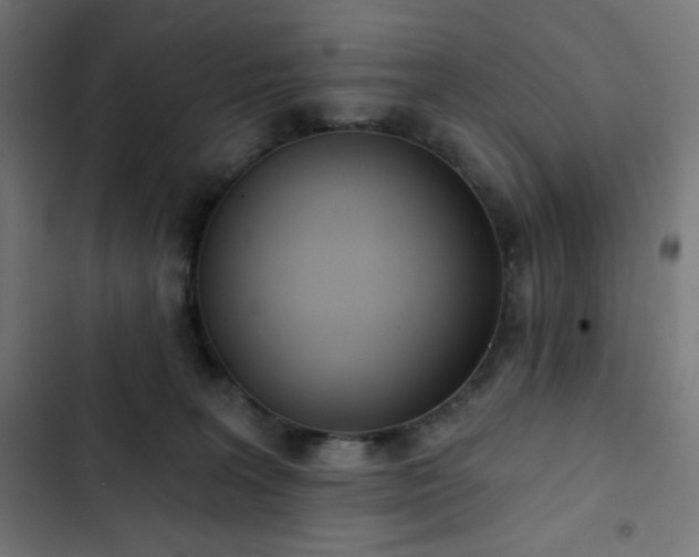 X0000103260227200809051451