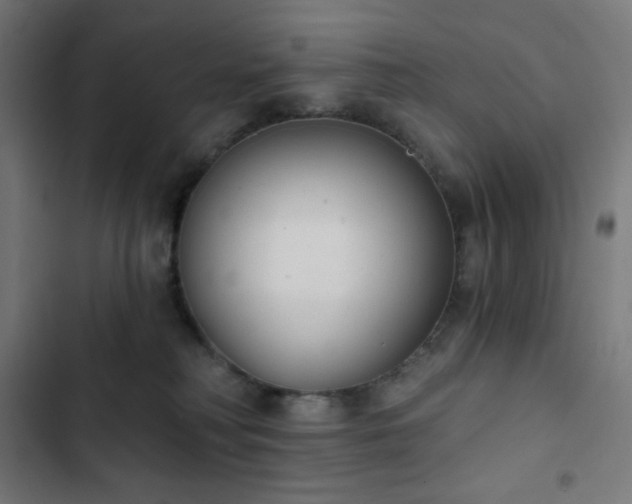 X0000103260230200809051451