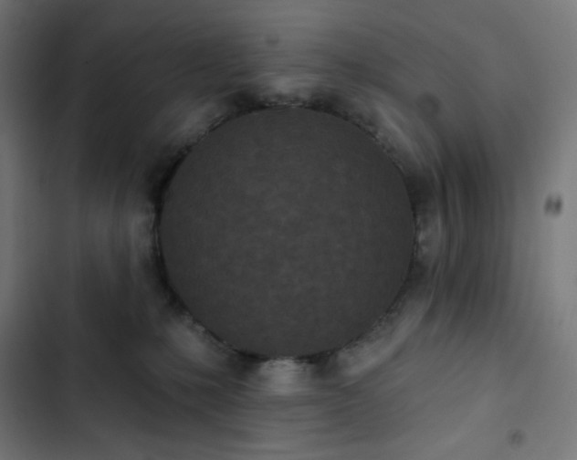 X0000103260231200809051451