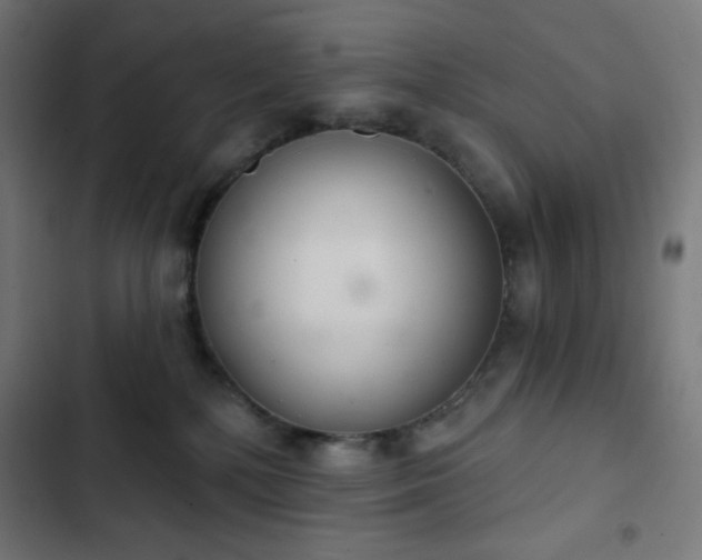 X0000103260232200809051451