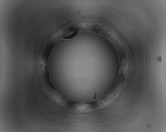 X0000103260235200809051451