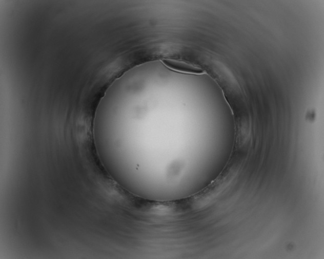 X0000103260236200809051451