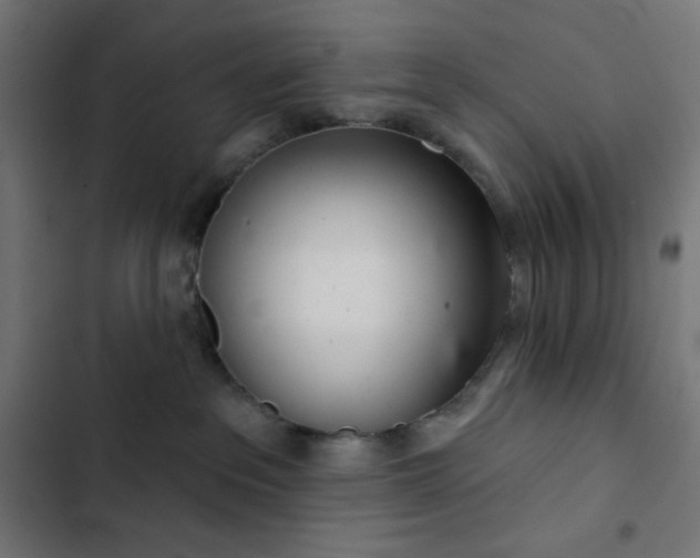 X0000103260237200809051451