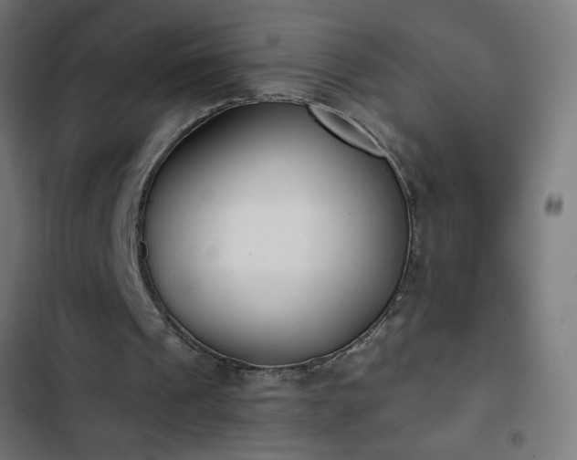 X0000103260241200809051450