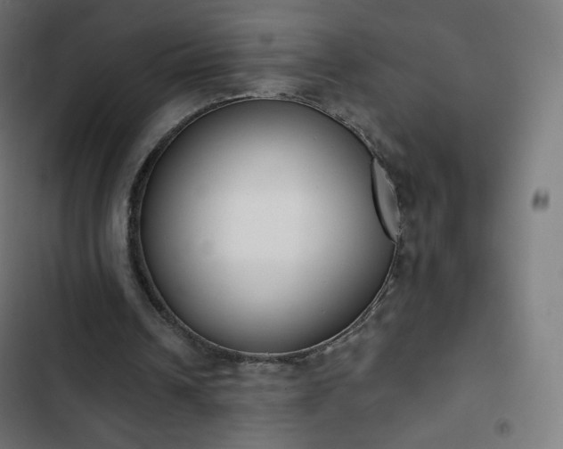 X0000103260242200809051450