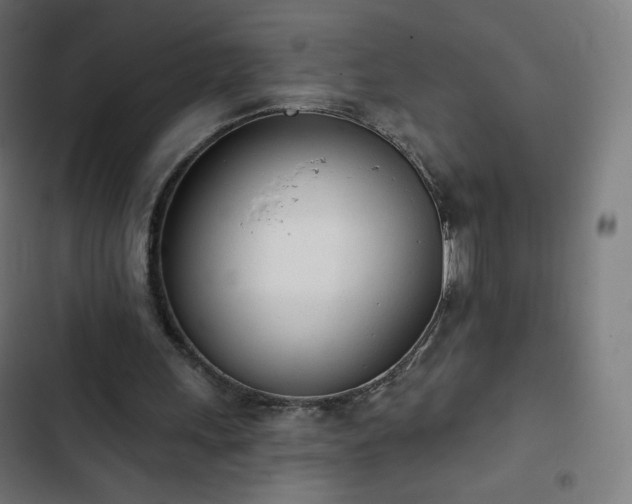 X0000103260243200809051450