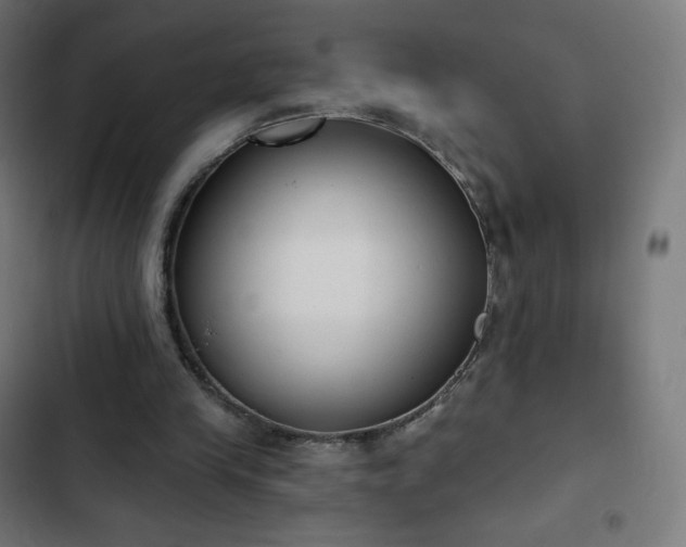 X0000103260245200809051450