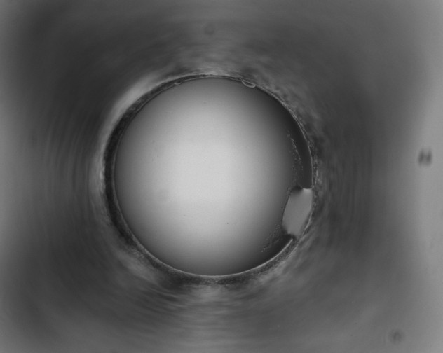 X0000103260246200809051450