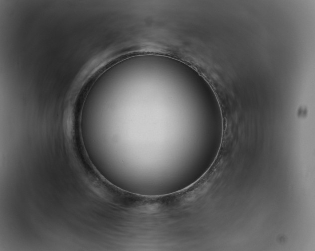 X0000103260247200809051450