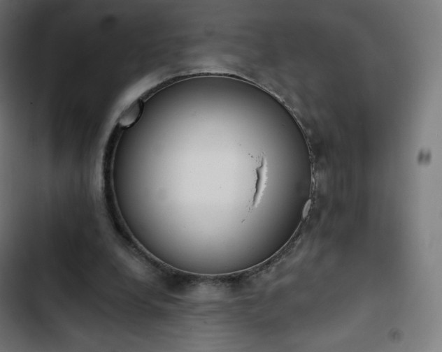 X0000103260248200809051450