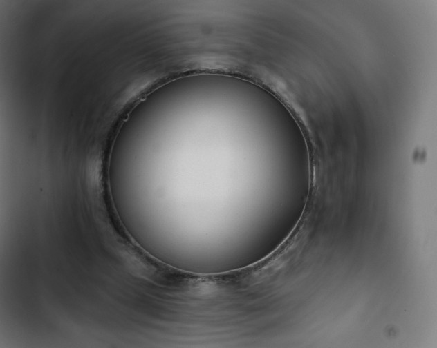 X0000103260249200809051450