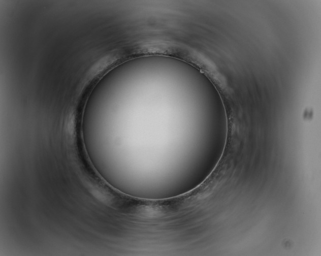 X0000103260250200809051450