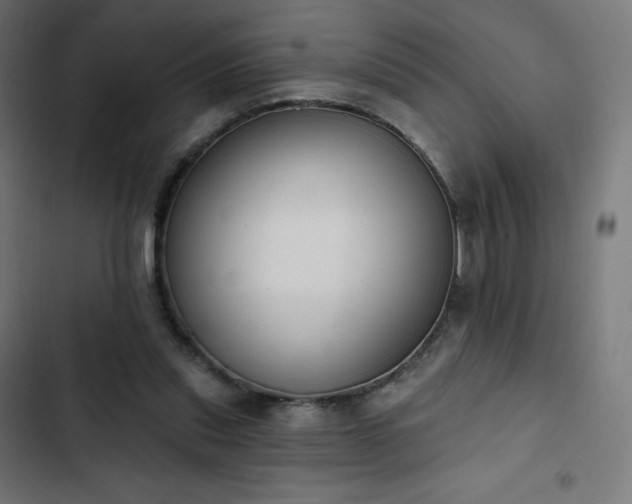 X0000103260253200809051450