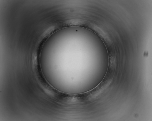 X0000103260254200809051450