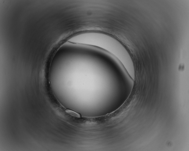 X0000103260256200809051450